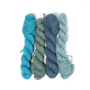 Dyelot2 Bluesbundle Cwm 1457